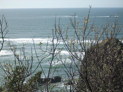 Oregon coast 035.jpg - Then we followed Hwy. 101 south along the coast.